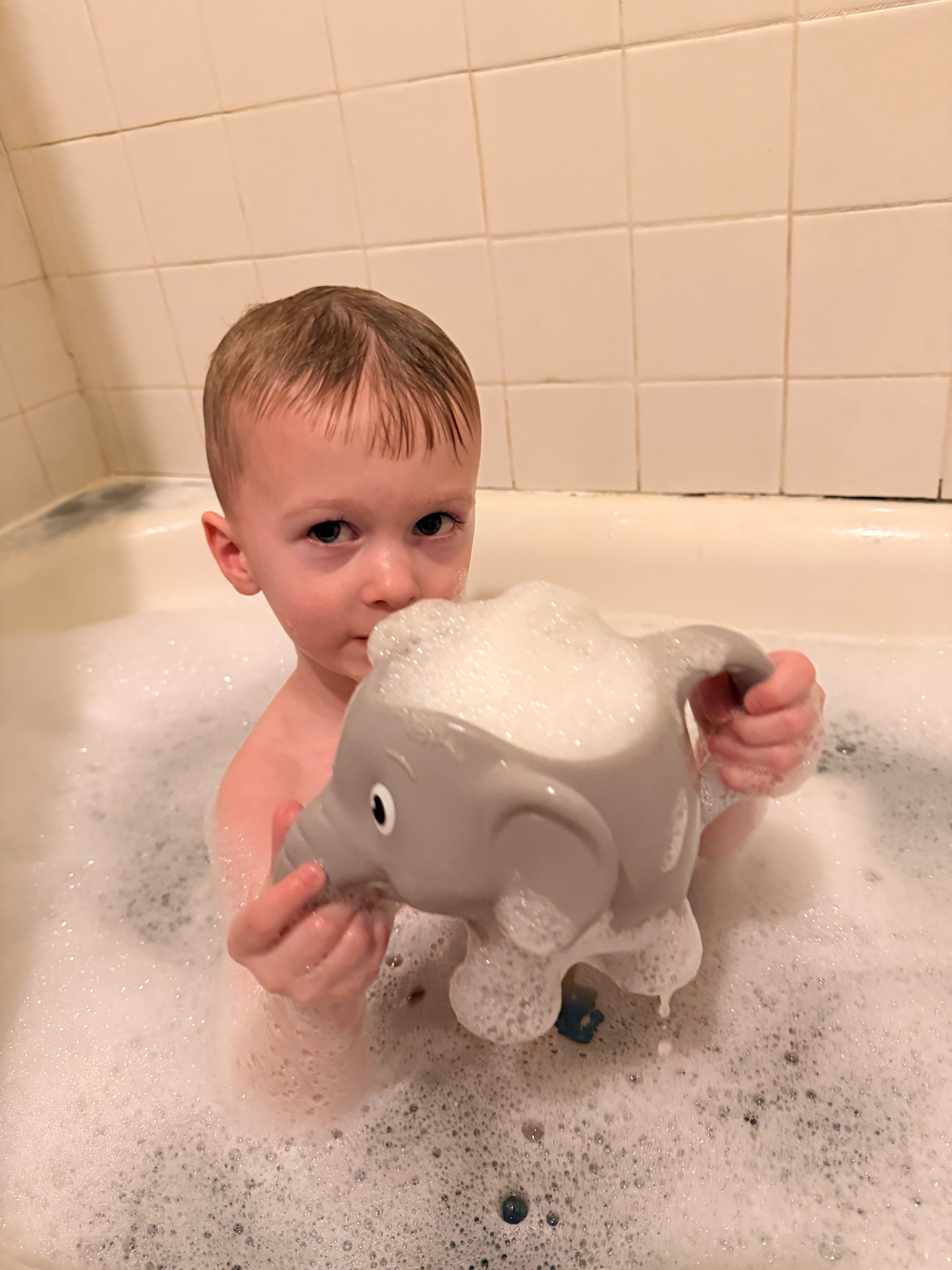 Wa-Zoo Elephant Bucket